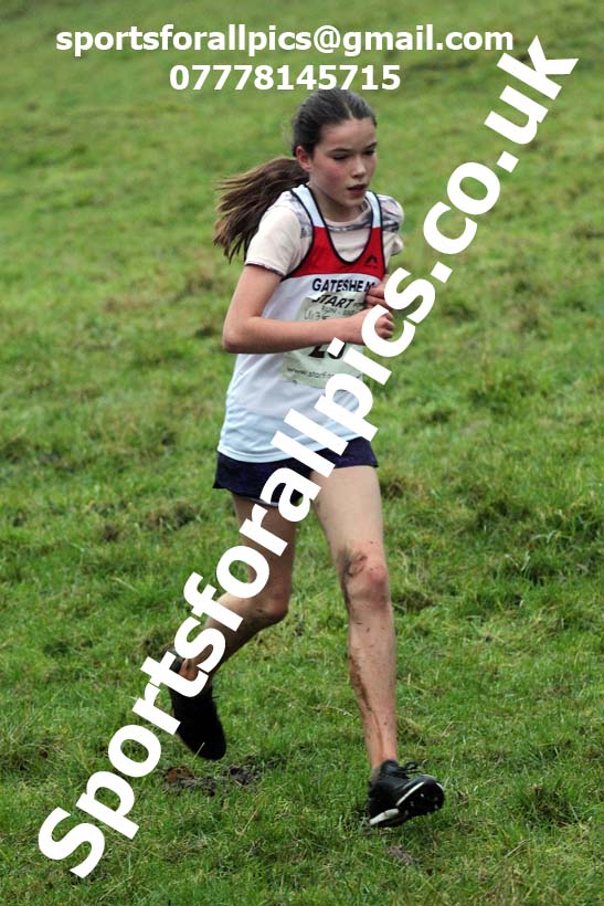 Girls under-13s, NECAA Junior Cross Country Relays, Thornley Farm, Peterlee, Saturday, December 12th. Photo: David T. Hewitson/Sports for All Pics